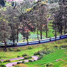 Ooty Toy Train – A Magical Journey Through the Nilgiris " All aboard the iconic Nilgiri Mountain Railway! This UNESCO-listed heritage toy train chugs through 46 km of breathtaking landscapes, from Mettupalayam’s foothills to Ooty’s misty peaks. Experience the romance of steam engines, vintage blue coaches, and 16 tunnels carved through tea-clad mountains. Why Ride With Christone Holidays? 🚂 World Heritage Experience: One of India’s last operational steam railways 🌄 Visual Symphony: Panoramic views of waterfalls, pine forests & tea estates 📸 Photo Paradise: Curved bridges & mountain loops perfect for reels 🕰️ Living History: British-era stations with antique charm Exclusive Perks: ✔ Priority seating bookings (limited tickets!) ✔ Guided commentary about railway history ✔ Combine with Coonoor stopover for tea tasting Route: Mettupalayam-Coonoor-Ooty Duration: 5 hrs. (Full route) | Best Section: Coonoor-Ooty (1.5 hrs.)Where every clickety-clack writes a memory!"