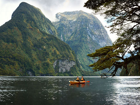 Kayaking in Fiordland, Fiordland.jpg
