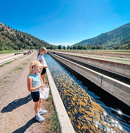 Rifle Fish Hatchery