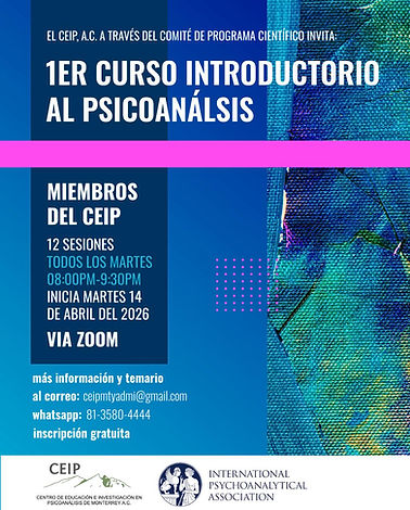 Póster curso de introducción.jpeg