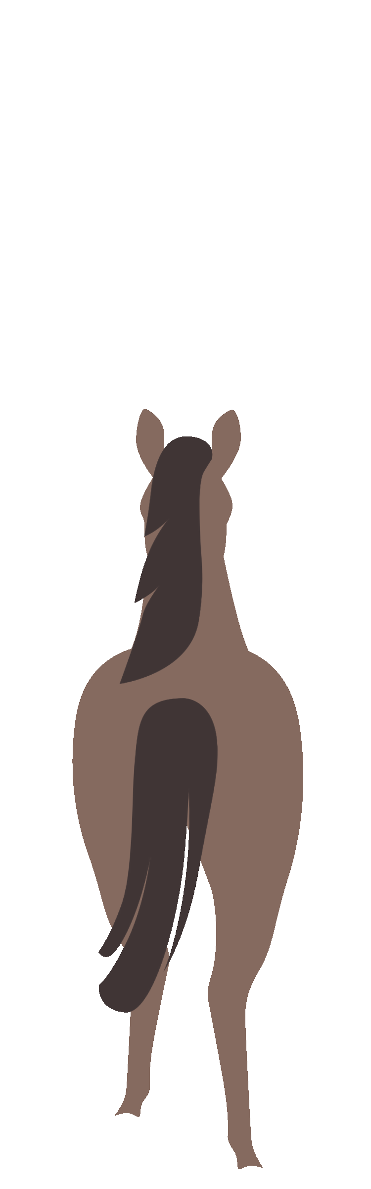 horse_back.gif