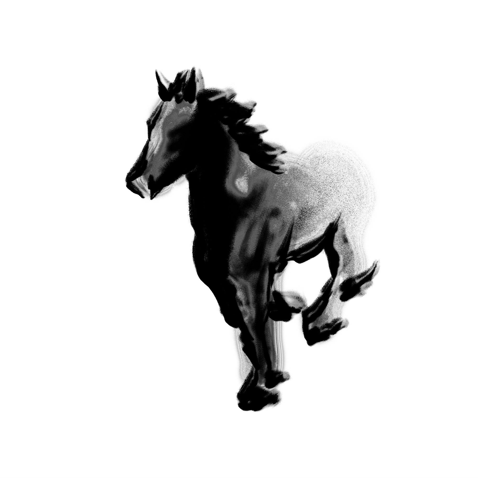 03_horse_color.gif