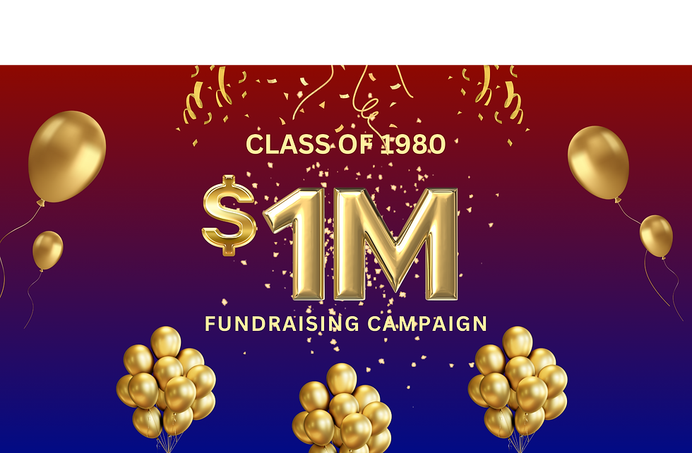 Golden and Black 1 Million Followers Thank You Facebook Story (Website)_edited_edited.png