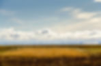 Payroll Services Morecambe