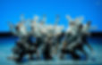 DSC08175.jpeg