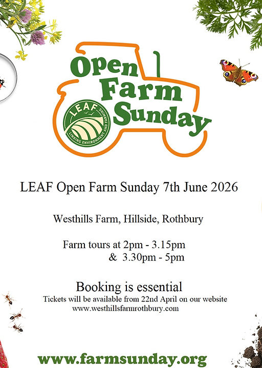 leaf open day 2026.jpg