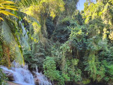Cachoeiras de Paraty: 5 opções fáceis de chegar!