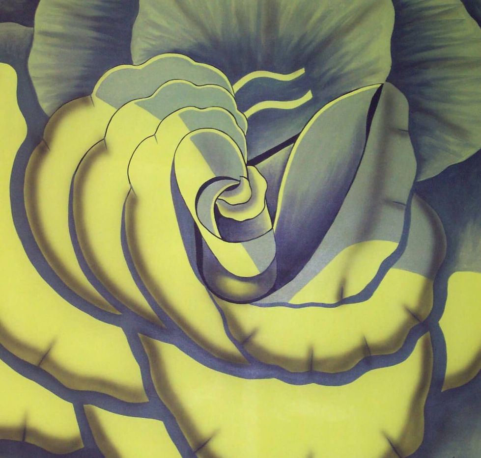 White rose