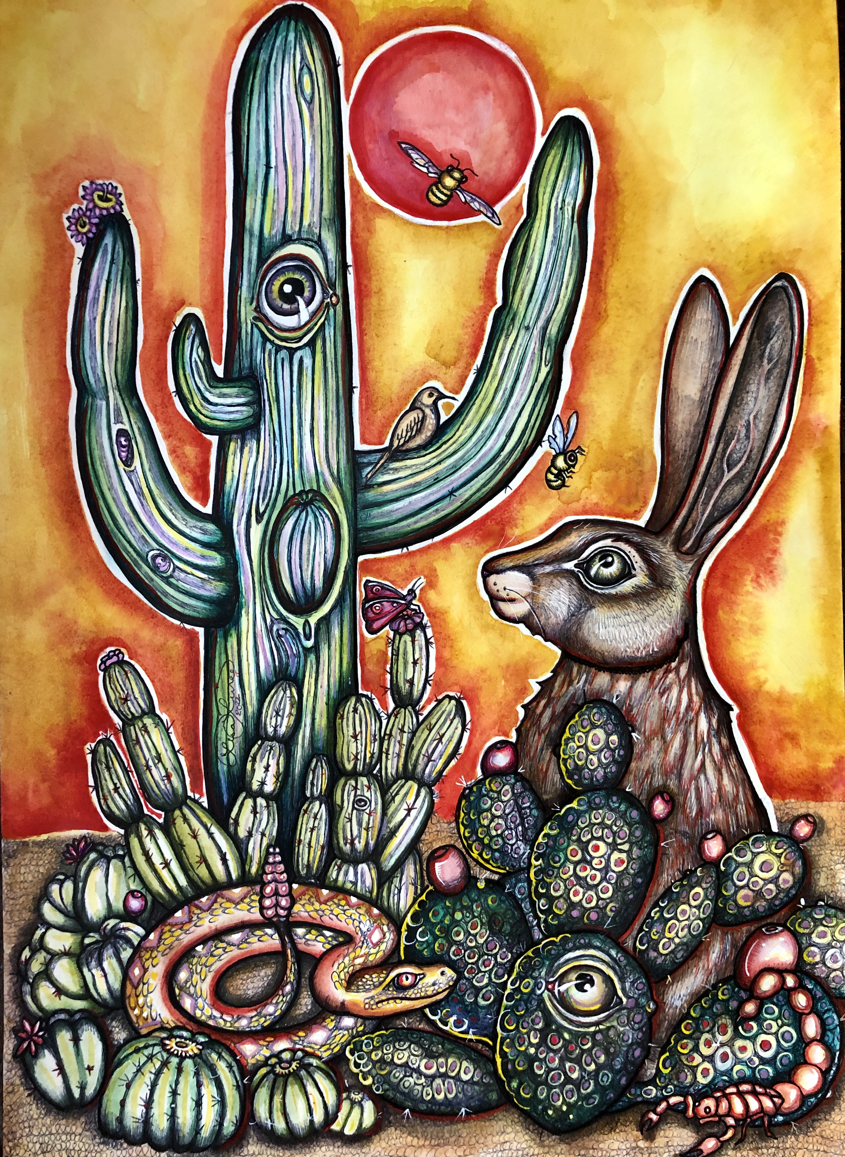 Desert Dangers.  This fiery piece was inspired by sunset in the beautiful wild Arizona spring.  A tall green saguaro cactus looms to the upper left.  The hot red sun can be seen between it's reaching members.  To the right of the cactus sits a wild hare, ears alert to danger.  Danger is at the hare's feet - a RATTLESNAKE coiled to strike.  Smaller cacti hide the dangerous creatures.  The cacti have eyes and watch.  On the lower right corner of the painting, a scorpion lurks, also prepared for battle.  The watercolor sky is luminous yellow, with red blending to orange as sunsets do.  This painting was created with ballpoint pen, watercolor and ink on paper.  The paper was then mounted onto a repurposed kitchen cabibnet door.  There is a forest green "matt" around the painting.  The frame is holographic gold and changes color in bright light.