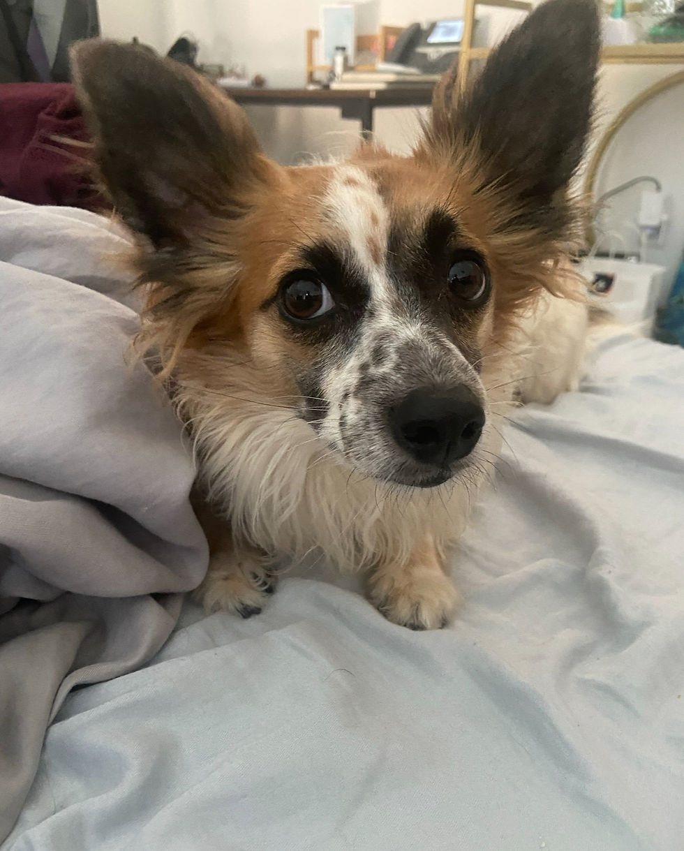 Who was waiting for me when I got back. :)