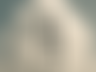 A broken ladder going into clouds