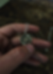 35440_edited.png