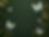 imagecreatrix.png