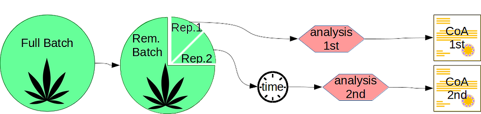 Image01 – Diagram illustrating one of the arguments for variations in mold test results: the re-testing argument, a.k.a. the temporal argument.