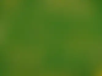 Spring Leaf Clean-Up: Why You Shouldn’t Ignore Leftover Leaves