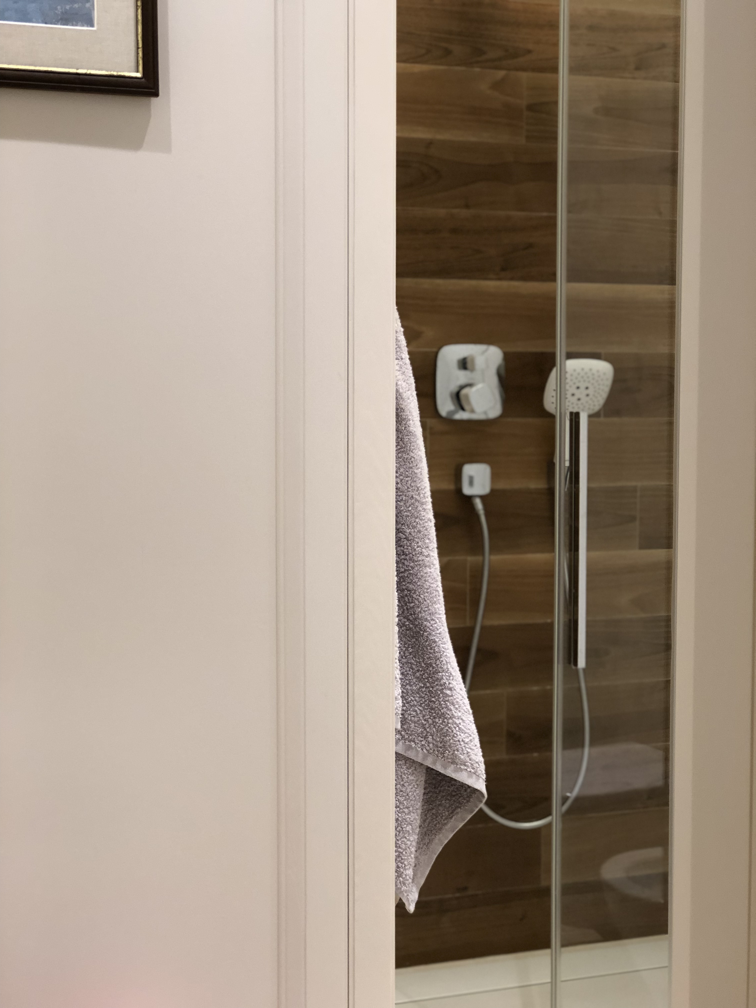 Shower detail