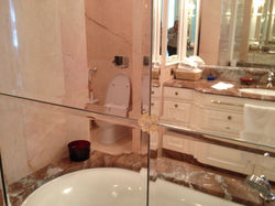 Master bathroom details