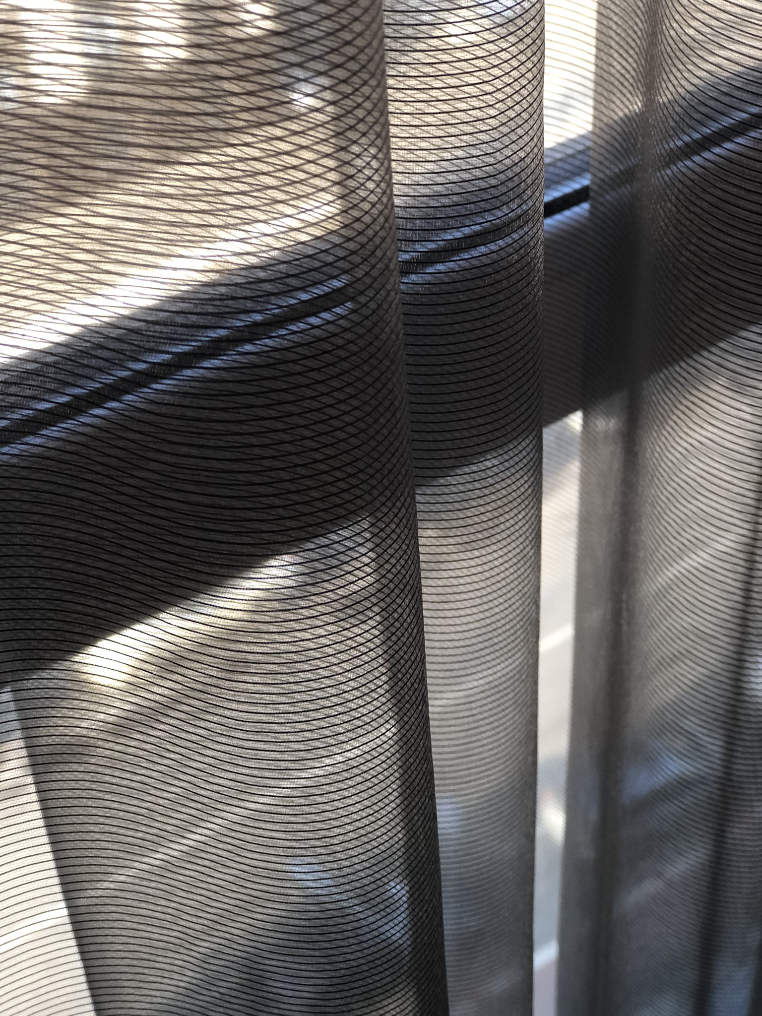 Voile at child bedroom