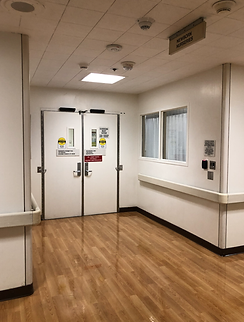 nsy 2.png