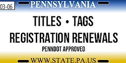 LICENSE PLATE.png