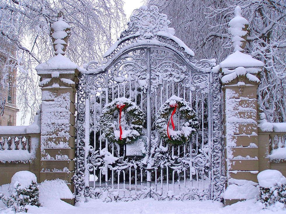 Winter in Newport