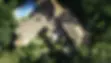 lieu-vue-haut2.webp