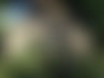 Pourquoi choisir un château pour célébrer son mariage en Rhônes-Alpes ?