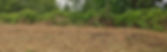 footer3.jpg