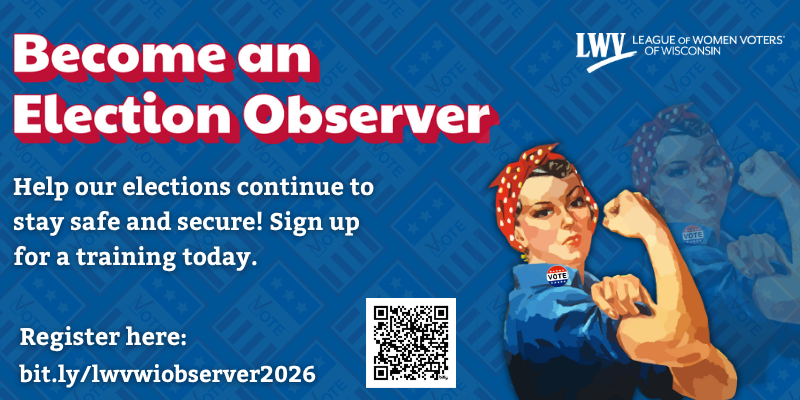 Virtual Election Observer Training