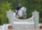 Callipso Capital Challenge