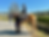 FullSizeRender 3