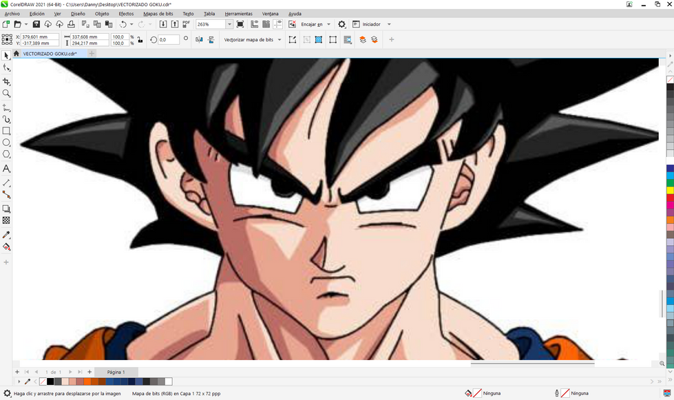 VECTORIZACION IMAGEN DAB VISUAL DISEÑO GRAFICO