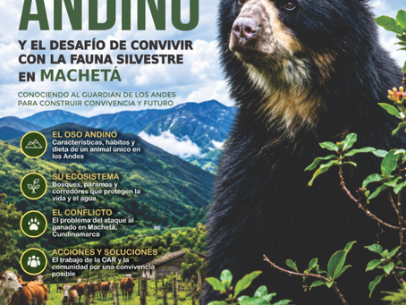 REVISTA INTERACTIVA Y E-BOOK - EL OSO ANDINO