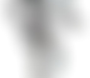 Robo Sapiens Are Emerging