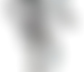 Robo Sapiens Are Emerging