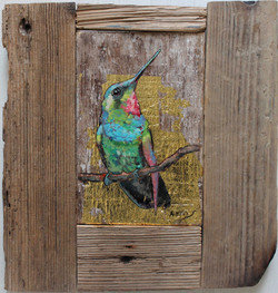 collezione privata