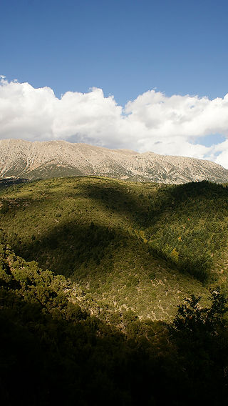 2017_Okt_21-23  (36)a