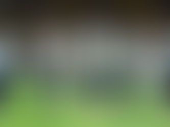 El Club Puebla abre la jornada 2 de la Liga MX recibiendo a Santos en el Estadio Cuauhtémoc