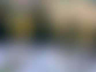 Pericos de Puebla cerró la temporada 2021