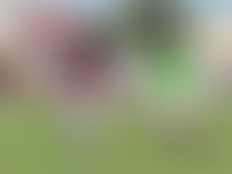 Bravos de Juárez recluta talento poblano