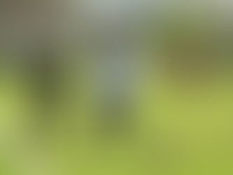 Continúan los encuentros de preparación para la Academia Club Puebla Xaltepec