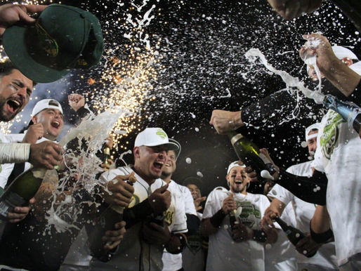 Pericos de Puebla es campeón de la zona sur y volverá a la Serie del Rey después de 7 años