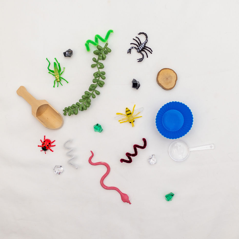 Thumbnail: Summer Bugs Pour and Explore Bags