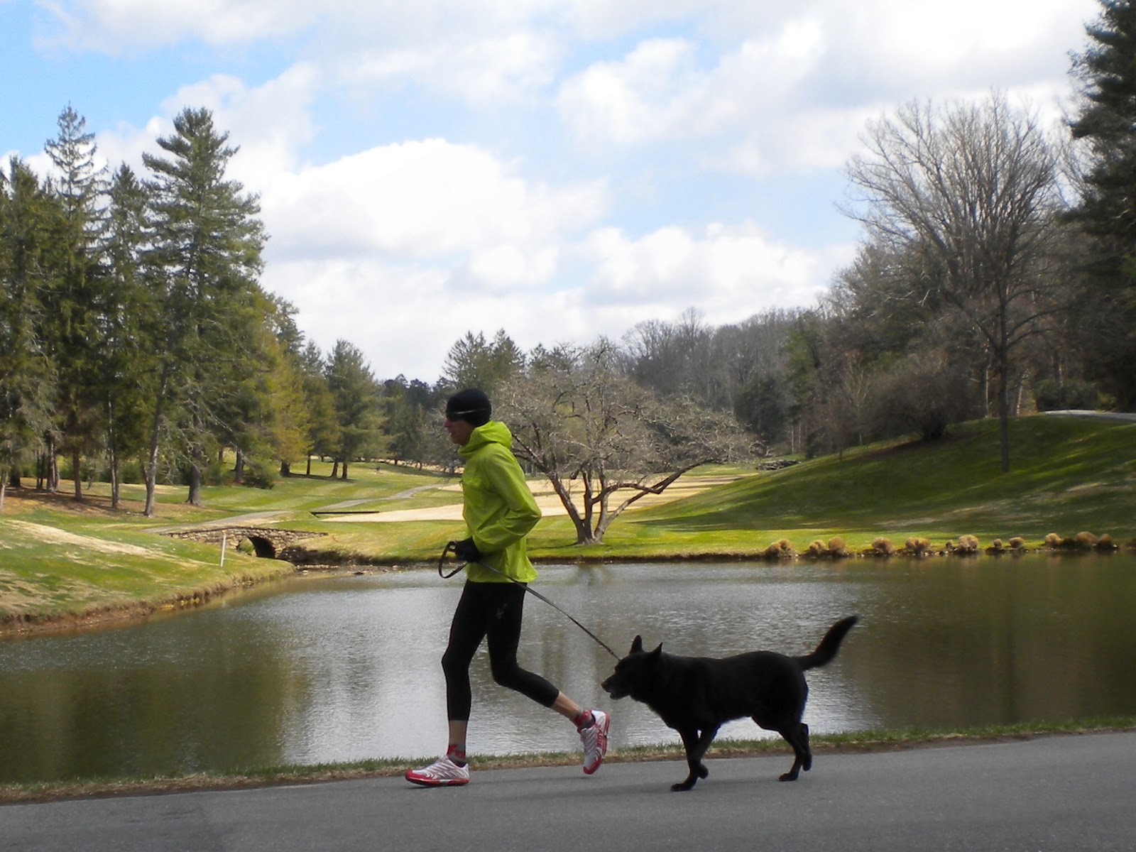 Dog Running Service Boston Dog Company