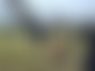 W hołdzie Żołnierzom Wyklętym