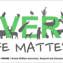 [다양한 비건라이프]  동물의 사회적 지위와 복지기준을 향상시키는 어웨어(AWARE)