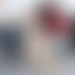 Perrito en la oficina