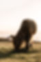 0M4A5674.jpg