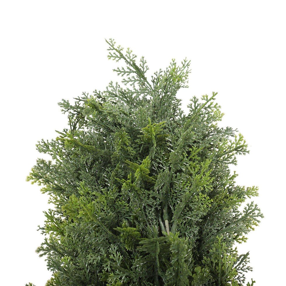 Thumbnail: UV Cypress Pine Tree 1.8M
