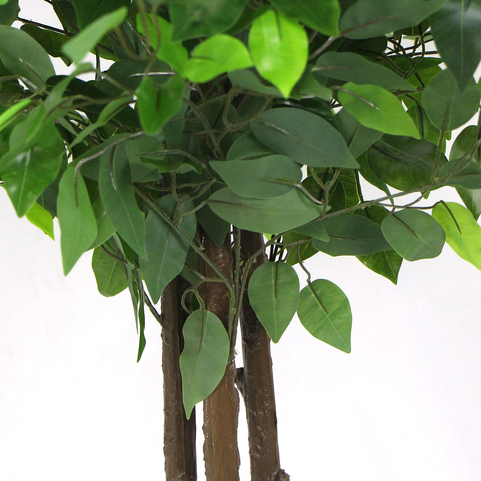Thumbnail: Artificial Ficus Tree 180cm Nearly Natural UV Resistant